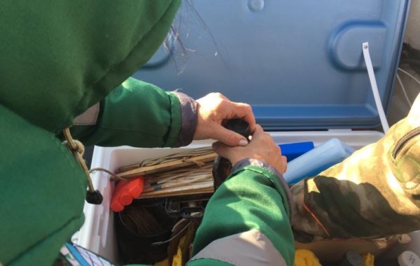 Отбор проб воды специалистами филиала ЦЛАТИ по Астраханской области в рамках программы «Реализация отдельных мероприятий приоритетного направления «Сохранение и предотвращение загрязнения реки Волга».