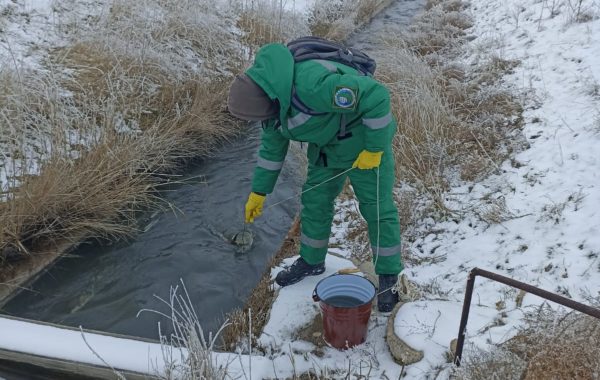 Отбор проб природной воды специалистами филиала ЦЛАТИ по Астраханской области.