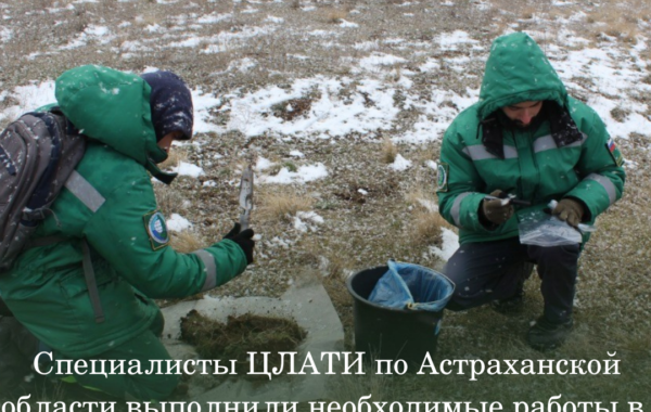 Специалисты ЦЛАТИ по Астраханской области выполнили необходимые работы в Элисте в рамках федерального проекта «Генеральная уборка».